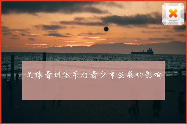 足球青训体系对青少年发展的影响