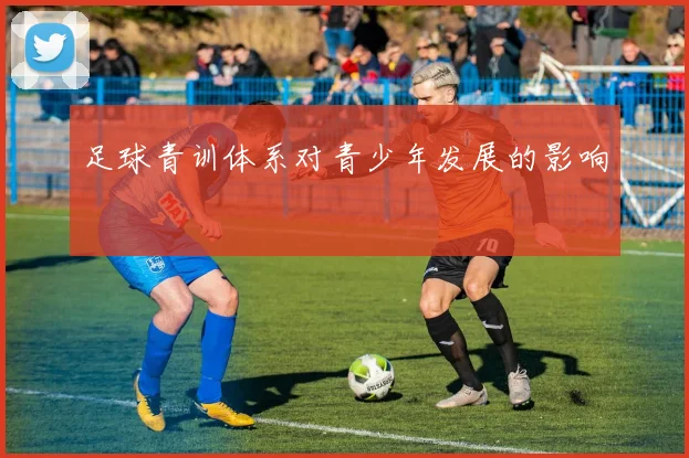 足球青训体系对青少年发展的影响